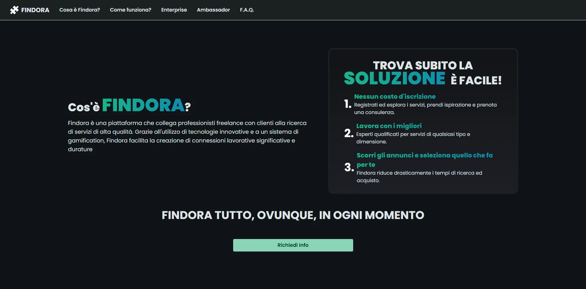 Sezione iniziale della landing page di Findora